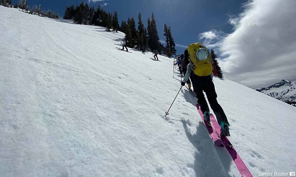 skiers ascend a slope on skins